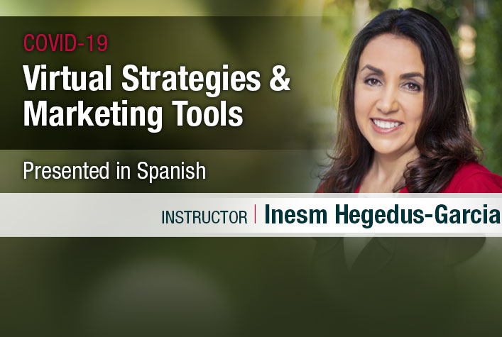 webinar - virtual strategies & marketing tools in Spanish