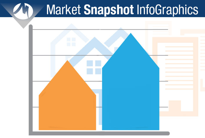 Market SnapShot InfoGraphics